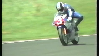 1987年全日本ロードレース選手権 第9戦 筑波大会 国際A級 250決勝