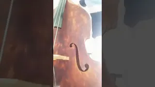 Ricardo Horvath doubleBass Swimming Csardas