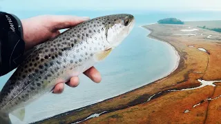 Where To Find The Tricky Winter Sea Trout? Part One: Open Coast Fly Fishing!