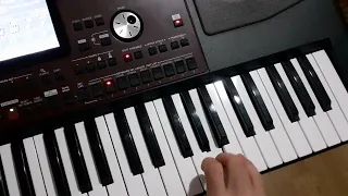 Miljacka - Korg Pa700  ( Čitati opis )