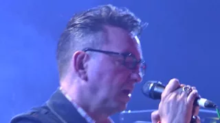 Richard Hawley - Coles Corner - Glastonbury Park Stage 24/06/2016