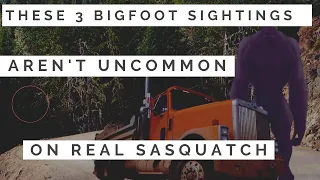 These 3 Bigfoot Sightings Aren't Uncommon 🐵 On Real Sasquatch