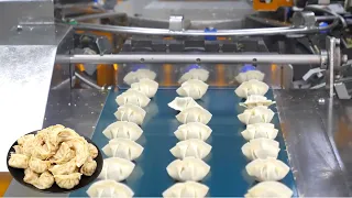 How Dumpling Are Made in Factory? | Amazing dumpling mass production process!