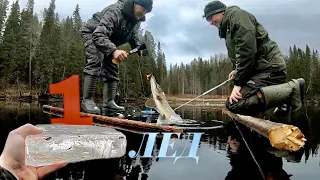 Первый лед. Карелия. Или БЕЗУМИЕ рыбаков