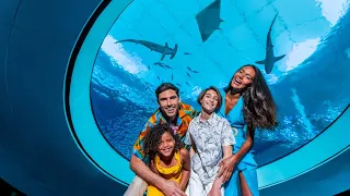 Explore Our World at Miami's Frost Science Museum
