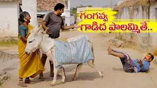 గంగవ్వ గాడిద పాలు అమ్మితే | My Village Show Comedy | Gangavva | Donkey Milk