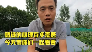 賭徒的心理到底有多荒唐，今天帶你們一起看看，簡直令人費解！