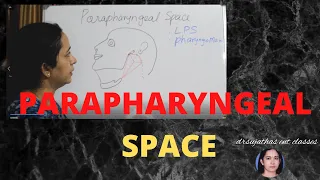 170.Parapharyngeal space  #Anatomy  Parapharyngeal space #anatomylectures