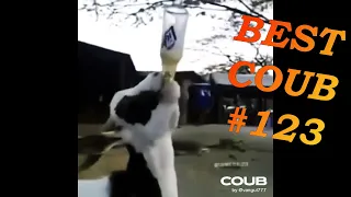 Best Coub Funny #123 2020 | BEST CUBE  | COUB | Gifs With Sound  | Tik Tok