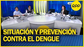 ¿Cuál es la situación y las medidas de prevención contra el dengue en el Perú?