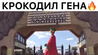 крокодил гена