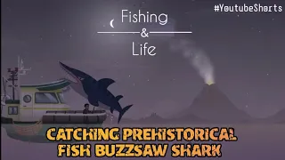 Fishing & Life | Catching Ultra Rare fish Buzzsaw Shark/Helicoprion #shorts