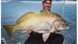 Surf and Jetty Fishing for Black Drum in NJ