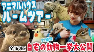 多頭飼いイケメンのルームツアー！自宅の動物(ペット)一挙大公開したら想像以上にスゴすぎた... Man's room tour