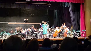 Frelinghuysen Middle School Chamber Orchestra playing Music From"Brave" Arranged by Robert Longfield