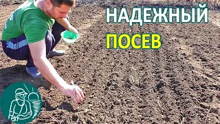 🌱 Посадка гороха и редиса 🏡 Посев и выращивание овощей по технологии Гордеевых