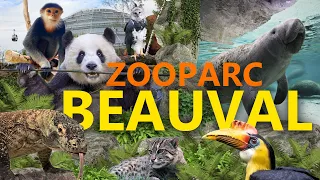 ZooParc Beauval - die Pflichtadresse in Frankreich? | Zoo-Eindruck