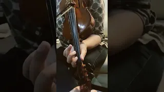 Phoolon ka taron ka sabka kehna hai | Violin Cover | Radhika Nath | Kishore Kumar | Rakhi Special