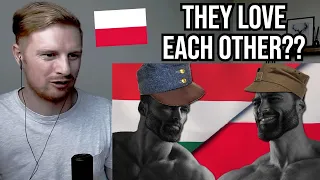 Reaction To Why Hungary and Poland Love Each Other