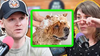 The INSANE life of a Dog Groomer- No Bad Dogs Podcast