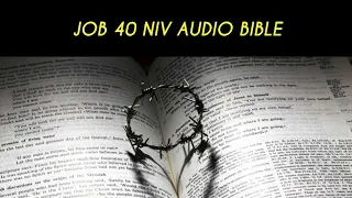 JOB 40 NIV AUDIO BIBLE