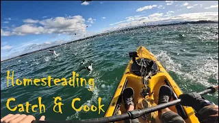 Living Off The Land & Sea + Catch Cook