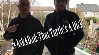 #AskADad: That Turtle's A Dick! | Poppin' Bottles Dad-Cast
