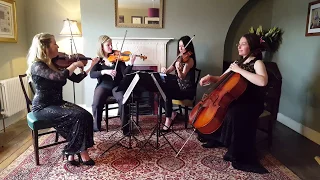 A Thousand Years (Christina Perri), by The String Quartet