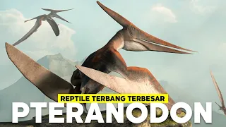 Mengenali Pteranodon Kerabatnya Burung Pelikan | #BelajarDuniaPurba