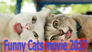 Приколы! подборка СМЕШНОГО видео котов! 20 мин Угара! подборка 2017 Funny Cats Compilation 20 min