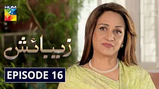 Zebaish Episode 16 HUM TV Drama 25 September 2020