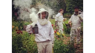 Zombie Bees, The New Bee Killer!!