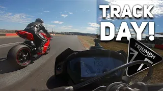 Triumph Street Triple 765RS vs Ducati 1299, Daytona and more | Track day!