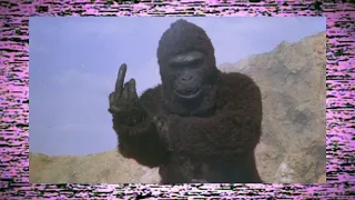 APE aka A*P*E (1976) | Guy In Ape Suit Stumbles Around