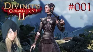 Elfen-Wildling Sebille betritt das Schiff | Divinity: Original Sin 2 #001 |