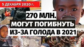Катаклизмы за день 5 декабря 2020. Человечеству угрожает масштабный голод в 2021 - ООН. События дня!