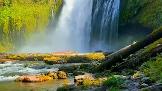 Serenity Music So Relaxing Majestic Healing Scenery of Nature