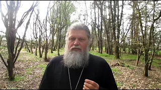 ORTHODOXY ~ THE PATH TO ETERNAL JOY