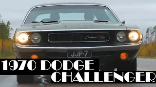 Dodge Challenger 1970 года: 7,2 литра под капотом, 50 лет истории #ЧУДОТЕХНИКИ №66