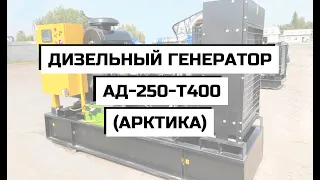 Дизельный генератор АД-250-Т400 (АРКТИКА)