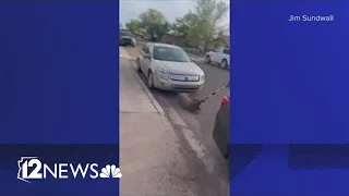 Arizona animal control officer on leave after dog-dragging incident