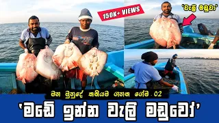 CATCHING VARIOUS STINGRAY FISHES AT THE SEA AND SELLING IN SRI LANKAN FISH MARKET