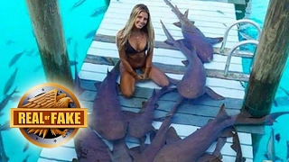 Girl With Pet Sharks Photo - Real or Fake?