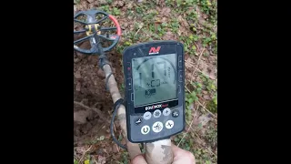 Поиск с Minelab equinox #Поиск с minelab equinox 800 #коп #коп поиск монет 2021 #поиск кладов