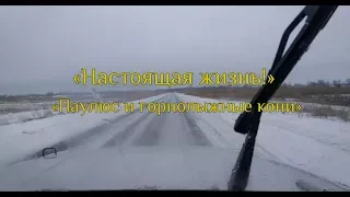 Настоящая жизнь: фельдмаршал Паулюс и горнолыжные кони!