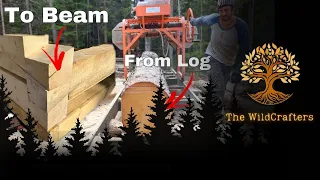 Buildig a Dovetail log cabin | One Man Milling the Beams