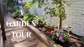 June 2023 | Texas Garden Tour (MUST SEE!) | Small Garden