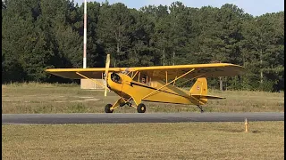 Newsom Cub Test Flight