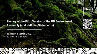 Plenary of the Fifth Session of the UN Environment Assembly (and National Statements)