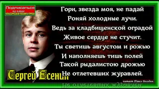 Гори , звезда моя,  не падай,  Сергей Есенин,  Русская Поэзия , читает Павел Беседин